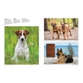 thumbnail image 4 of Animals in Photographs Dogs: A Celebration of Our Canine Friends, (Hardcover), 4 of 4