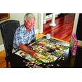 thumbnail image 3 of White Mountain Birds Of The Backyard 1000 Piece Jigsaw Puzzle, 3 of 7