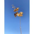 thumbnail image 1 of ziyahi 5pcs Orchid Lantern Festival Flower Fun Bucket Spring Festival Decoration, 1 of 1