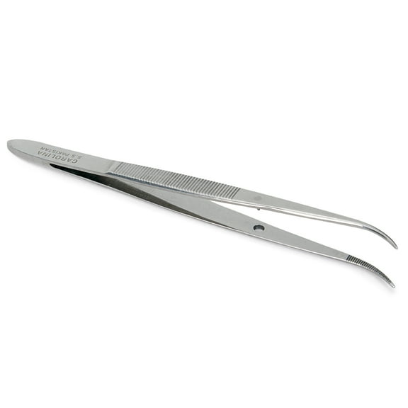 Dissecting Forceps, Fine Points, Stainless Steel, Curved, 4 1/2 In
