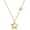 Gold, variant on Stainless Steel Star Necklace for Women Minimalist Star Charm Pendant with Adjustable Chain