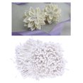 thumbnail image 3 of 1800 Unids 3 mm Mini Perla Doble Cabezas Sunnimix Estambre de flores de doble cabeza Blanco, 3 of 8
