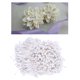 thumbnail image 3 of 1800 Unids 3 mm Mini Perla Doble Cabezas Sunnimix Estambre de flores de doble cabeza Blanco, 3 of 8