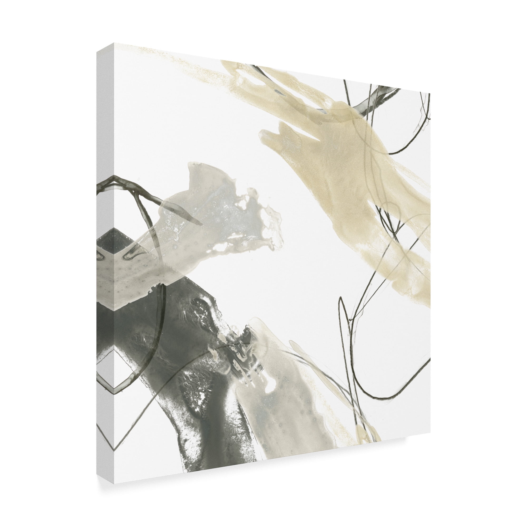 Trademark Fine Art 'Monochrome Momentum IV' Canvas Art by June Erica Vess