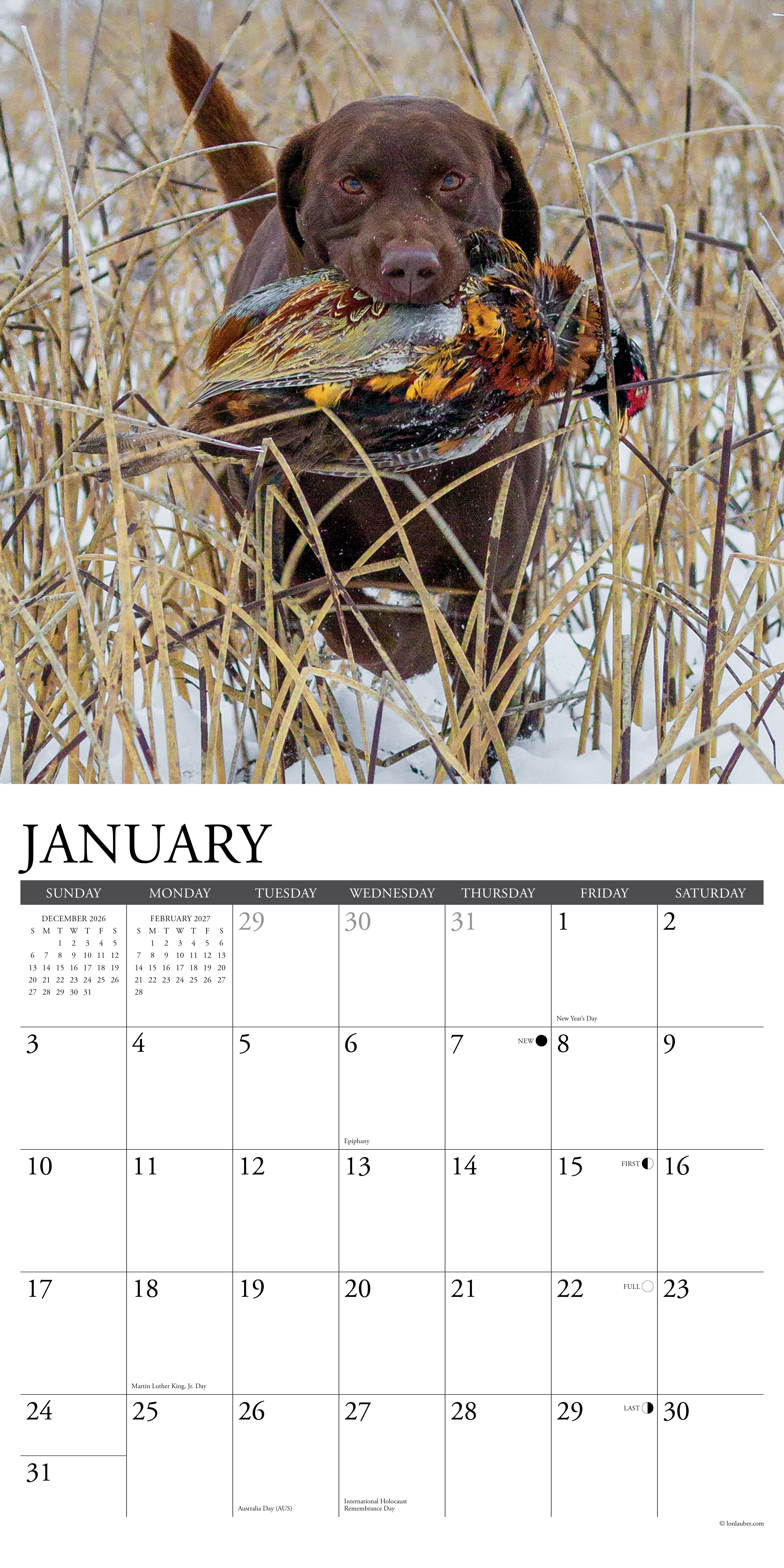 Willow Creek Press, Hunting Labs 2027 Wall Calendar