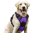 thumbnail image 1 of Arnés para perros Rabbitgoo, sin tirones, ajustable, morado, para perros grandes, 1 of 7