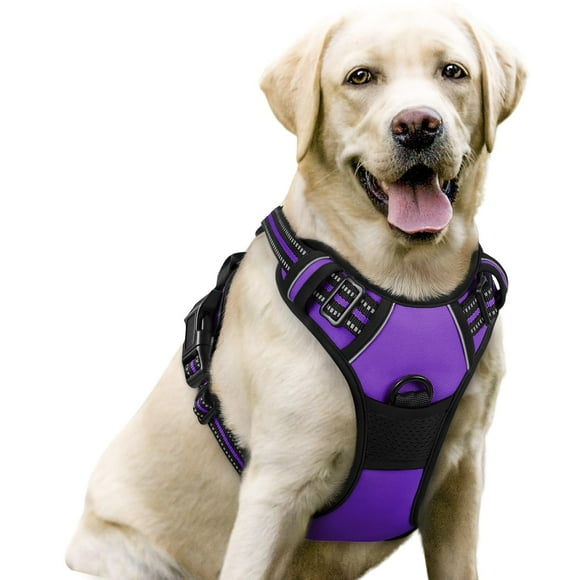rabbitgoo Harnais pour Chien, Harnais pour Animal Anti-Traction avec 2 Pinces pour Laisse, Harnais Rembourré Doux Ajustable, Harnais Oxford Réfléchissant Anti-Étranglement pour Animal avec Poignée de Contrôle Facile pour Grands Chiens, Violet, G