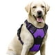 thumbnail image 1 of Arnés para perros Rabbitgoo, sin tirones, ajustable, morado, para perros grandes, 1 of 7