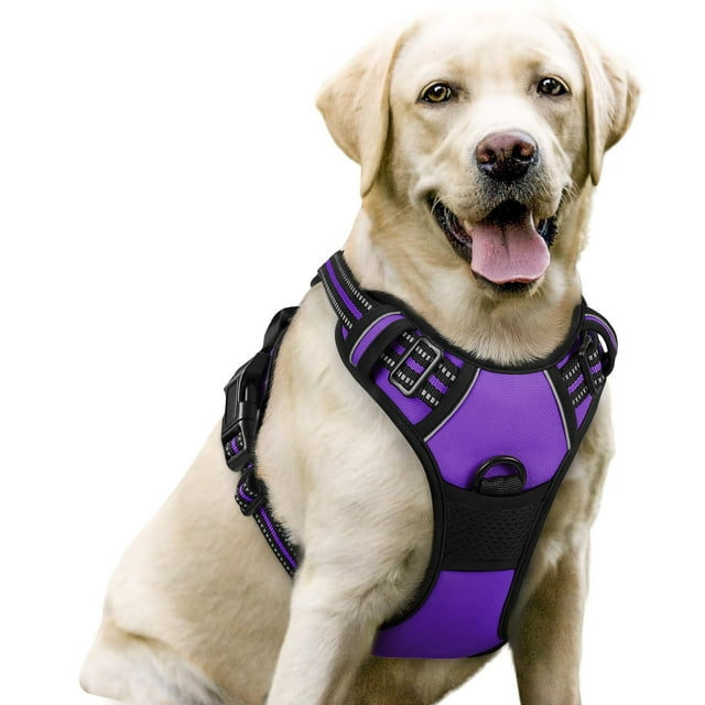 Arnés para perros Rabbitgoo, sin tirones, ajustable, morado, para perros grandes