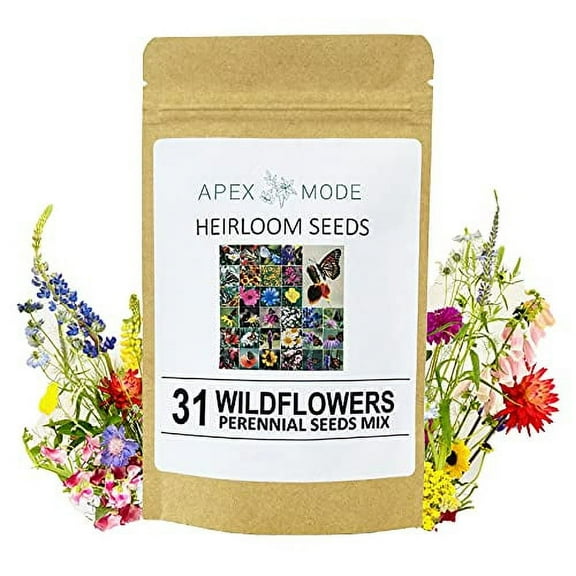 Apexmode 30,000 Perennial Wild Flower Seeds, American Non-GMO