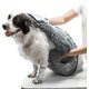 thumbnail image 1 of Toalla Shammy para perros grande, ultra absorbente, tamaño duradero para perros de todas las razas, tela de chenilla de secado rápido, diseñada para uso en interiores y exteriores - Machi, 1 of 5