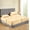 Beige, variant on 800 Thread Count 100% Egyptian Cotton Sheets Split King Size Bed Sheets 5 Piece Sheet Set 12" Deep Pocket of Fitted Sheet Color Burgundy Solid