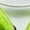 Green, variant on Men's Casual Jackets Lightweight Breathable Outdoor Skin Jacket for Couples Ideal for All Seasons
