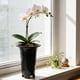 thumbnail image 1 of Maceta para Orquídeas con Sistema de Riego Automático, Plantador de Plástico Negro Duradero 19x12.3cm, Diseño Decorativo Brillante para Jardinería en el Hogar y Arreglos Florales., 1 of 6