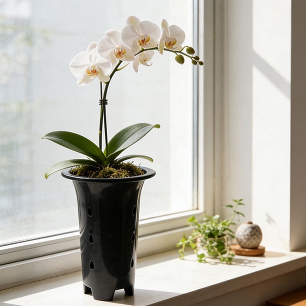 Maceta para Orquídeas con Sistema de Riego Automático, Plantador de Plástico Negro Duradero 19x12.3cm, Diseño Decorativo Brillante para Jardinería en el Hogar y Arreglos Florales.