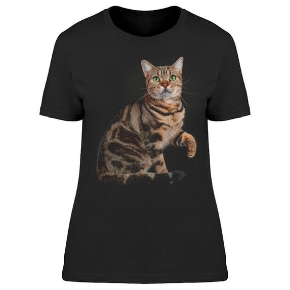 Shorthair Cat: Raising A Paw T-Shirt Women -Image by Shutterstock, Female x-Large