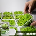 thumbnail image 2 of Planting Nursery Pot 1 Set Convenient Planting Nursery Pot Widely Use Plastic Transparent Reusable Plant Starting Tray for Garden, 2 of 6