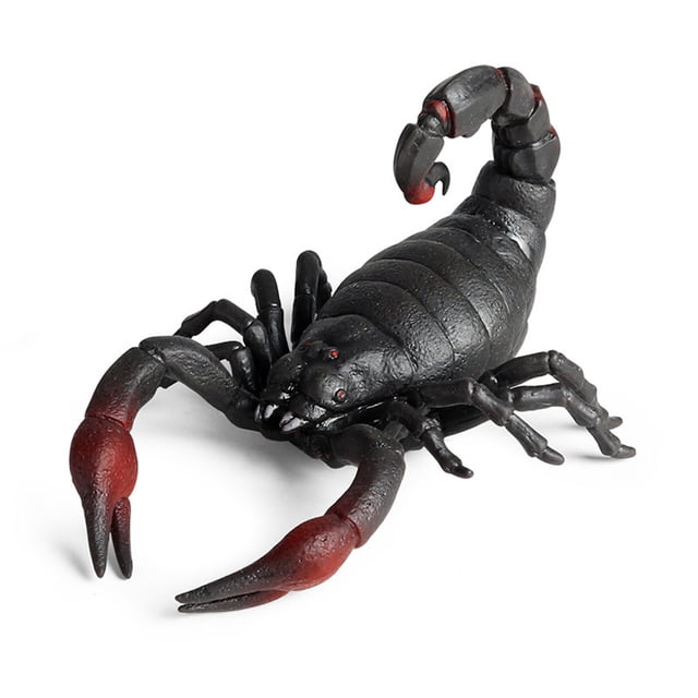 Figura de Escorpión de juguete ANGGREK TPR Ejercicio de dedos Entrenamiento de coordinación Figuras de Animales de Goma de Alta Simulación Para Uso en Fiestas Para niños