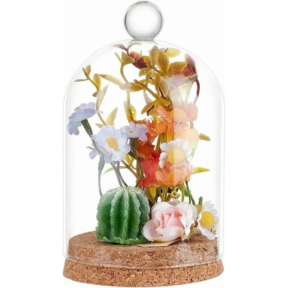 Glass Display Dome Cloche with Round Top Handle 5.6x3.5inch Dome Decorative Jars Glass Cover with Cork Base