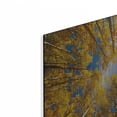 thumbnail image 2 of Luxe Metal Art 'Towering Aspens' by Darren White, Metal Wall Art, 16"x12", 2 of 9