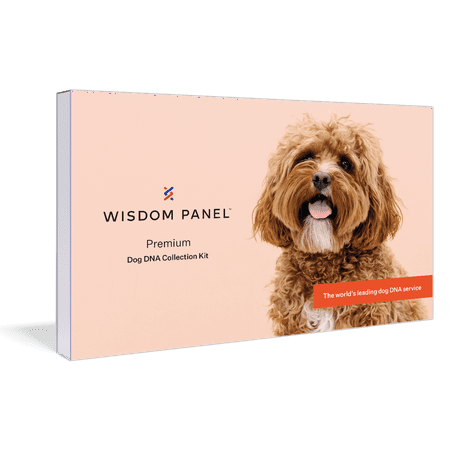 Wisdom Panel Premium Breed Identification & Health Condition Identification Dog DNA Test