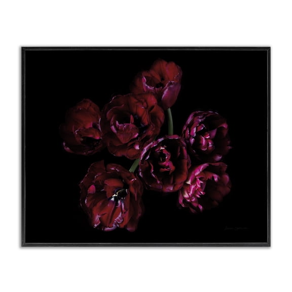 Stupell Industries Transitional Dark Peonies Floral Bouquet Black Framed Giclee Art, 14 x 11, by Floragraphica