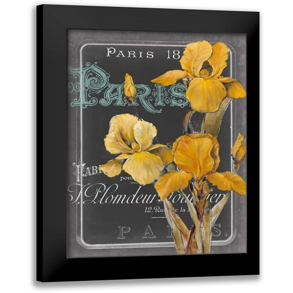 Studio W 12x14 Black Modern Framed Museum Art Print Titled - Chalkboard Paris IV