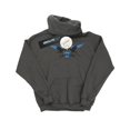 thumbnail image 1 of Harry Potter Womens Ravenclaw Captain Hoodie, 1 of 3