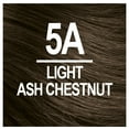 thumbnail image 2 of Naturtint 5A Light Ash Chestnut Permanent Hair Color, 1 Pack (Packaging May Vary), 2 of 7