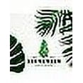 thumbnail image 5 of Chrysal Leafshine Aerosol Spray 25 Ounces Bundled by Evergreen Farm and Garden (3 Pack), 5 of 7
