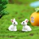 thumbnail image 4 of Figurita en miniatura de conejo adorable de resina Microdecoraciones Jardines de hadas Adornos DIY Decoraciones Planta suculenta Decoración Conejos Adorno para tartas, 4 of 7