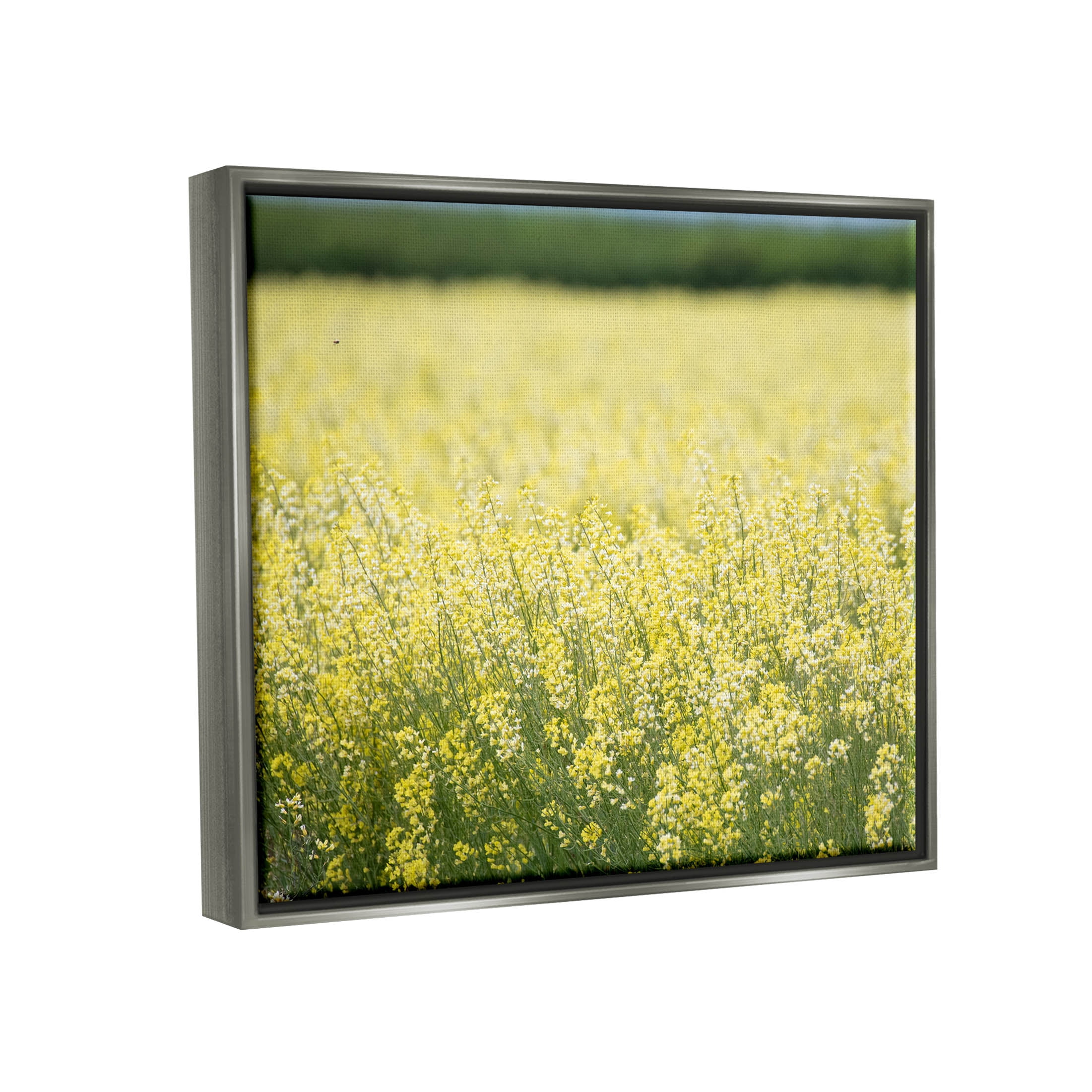 Stupell Industries Bright Country Meadow Wildflowers Photograph Luster Gray Floating Framed Canvas Print Wall Art, Design by Nancy Crowell