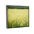 thumbnail image 3 of Stupell Industries Bright Country Meadow Wildflowers Photograph Luster Gray Floating Framed Canvas Print Wall Art, Design by Nancy Crowell, 3 of 6