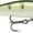 Yellow Perch, variant on Rapala Ultra Light Minnow 04 Crankbait Shad