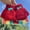 Red, variant on 4 Pairs Convertible Fingerless Gloves Knit Glove with Mitten Cover for Kids aged 5-10Year