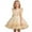 R186/Light Yellow, variant on Vividxx Dress For Girls Elegant Girls Party Dress With Puffed Sleeves And Skirt For And Performance Wear Toddler To Kids Formal Attire 4-5 Years