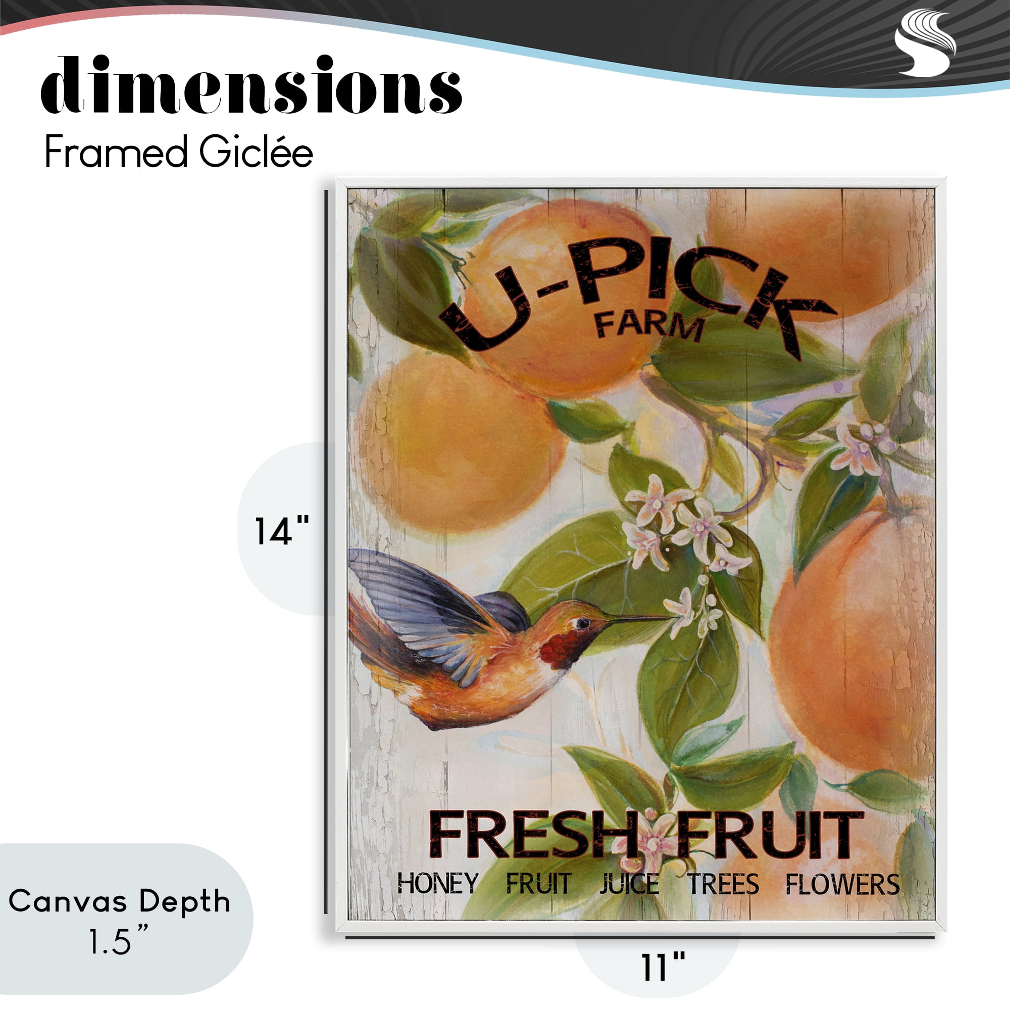 Stupell Industries U-Pick Fresh Fruit Farm White Framed Giclee Art, design by Diannart