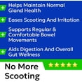 thumbnail image 2 of BARK&Spark Gland Guard - Anal Gland Support - Scoot Treatment - Prebiotics & Digestive Enzymes Supplement for Dogs Digestion & Gut Health. Proprietary Blend: Beet, Psyllium, Dandelion & Pumpkin 120Ct, 2 of 8