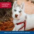 thumbnail image 4 of Arnés para perros Coastal New Earth Soy, ajustable, rosa, 1 cm x 30-45 cm, 4 of 8