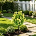 thumbnail image 2 of DefiDgd Outdoor Artificial Green Plant Ground Stake Bush,Faux Greenery Bush Ornament for Outdoor Yard Patio Lawn Porch Garden Landscaping Holiday Daily Home Decoration(PP), 2 of 6