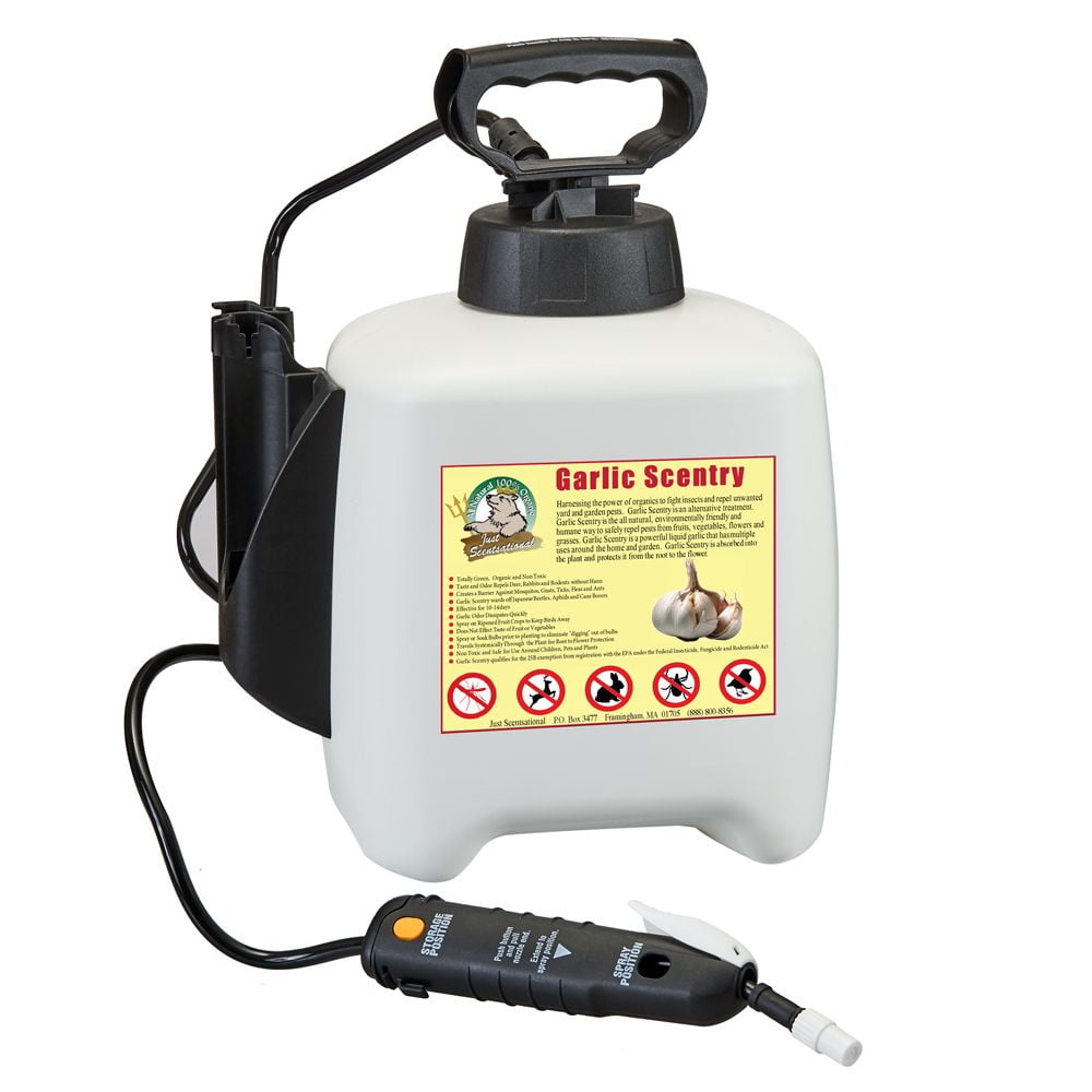 Groundwork 4 gallon pump sprayer