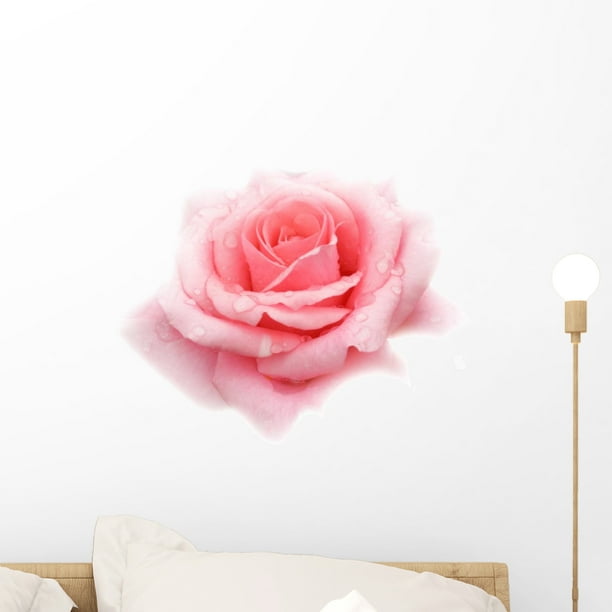 Pink Rose Wall Decal by Wallmonkeys Peel and Stick Graphic (18 in W x 14 in H) WM236355