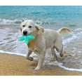 thumbnail image 6 of Dog Toys for Aggressive Chewers, Dog Teething Cleaning Toothbrush Toy, Durable Squeaky Interactive Starfish Puppy Toys for Small Medium Large Breed, 6 of 7