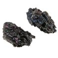 thumbnail image 1 of TISHITA 5X Kit de Collection de Roches et Minéraux, Science de la Terre, Jouet Noir 5 Pcs, 1 of 8