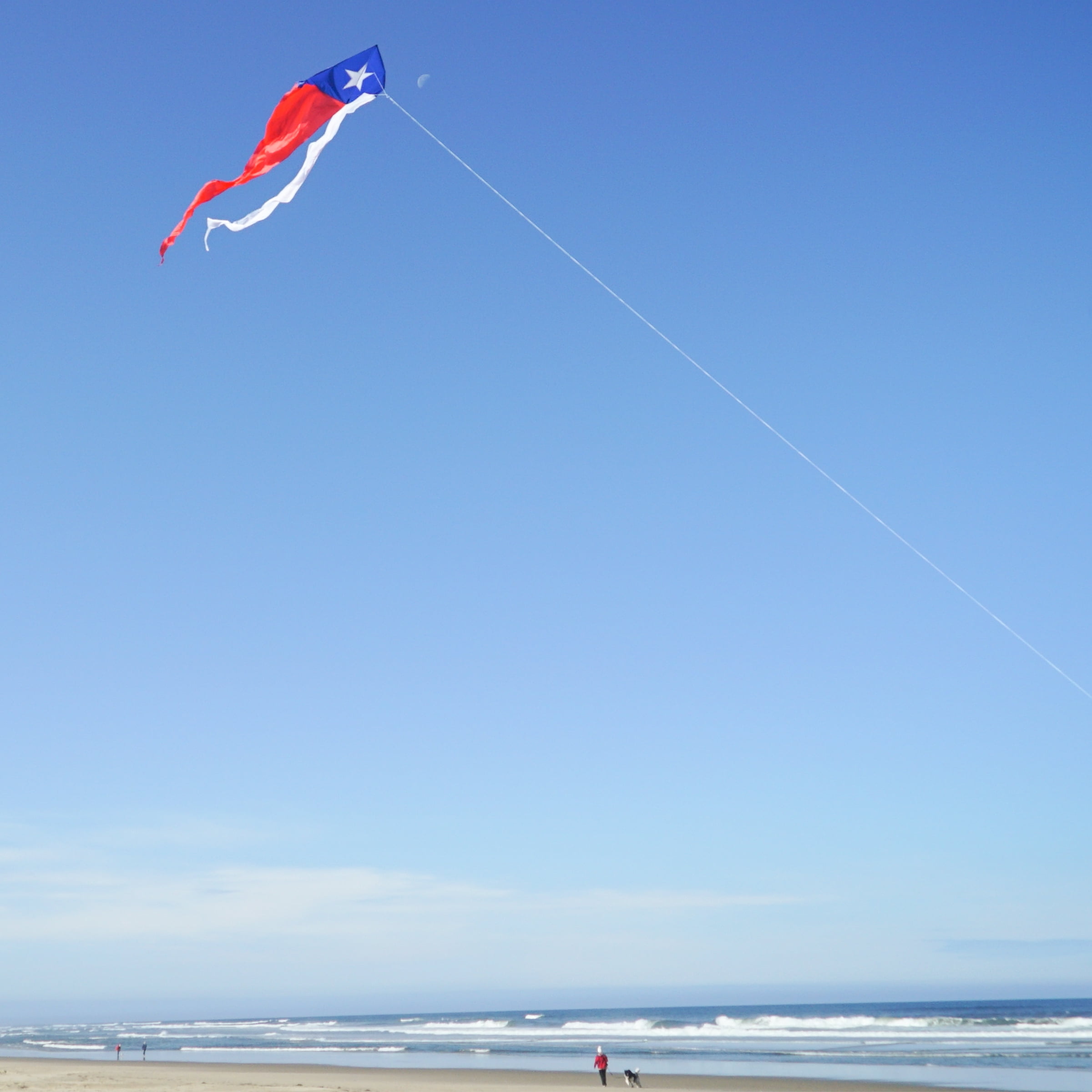 In the Breeze 3357 — Texas 77" Wave Delta Kite — Easy Flying Single Line Large Ripstop and Taffeta Kite