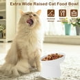 thumbnail image 5 of Raised Cat Food Bowl Ceramic Elevated Cat Bowls Extra Wide Tilted Pet Bowl for Food and Water Shallow Cat Food Dish Protect Spine Dishwasher and Microwave Safe Great Height, 5 of 9
