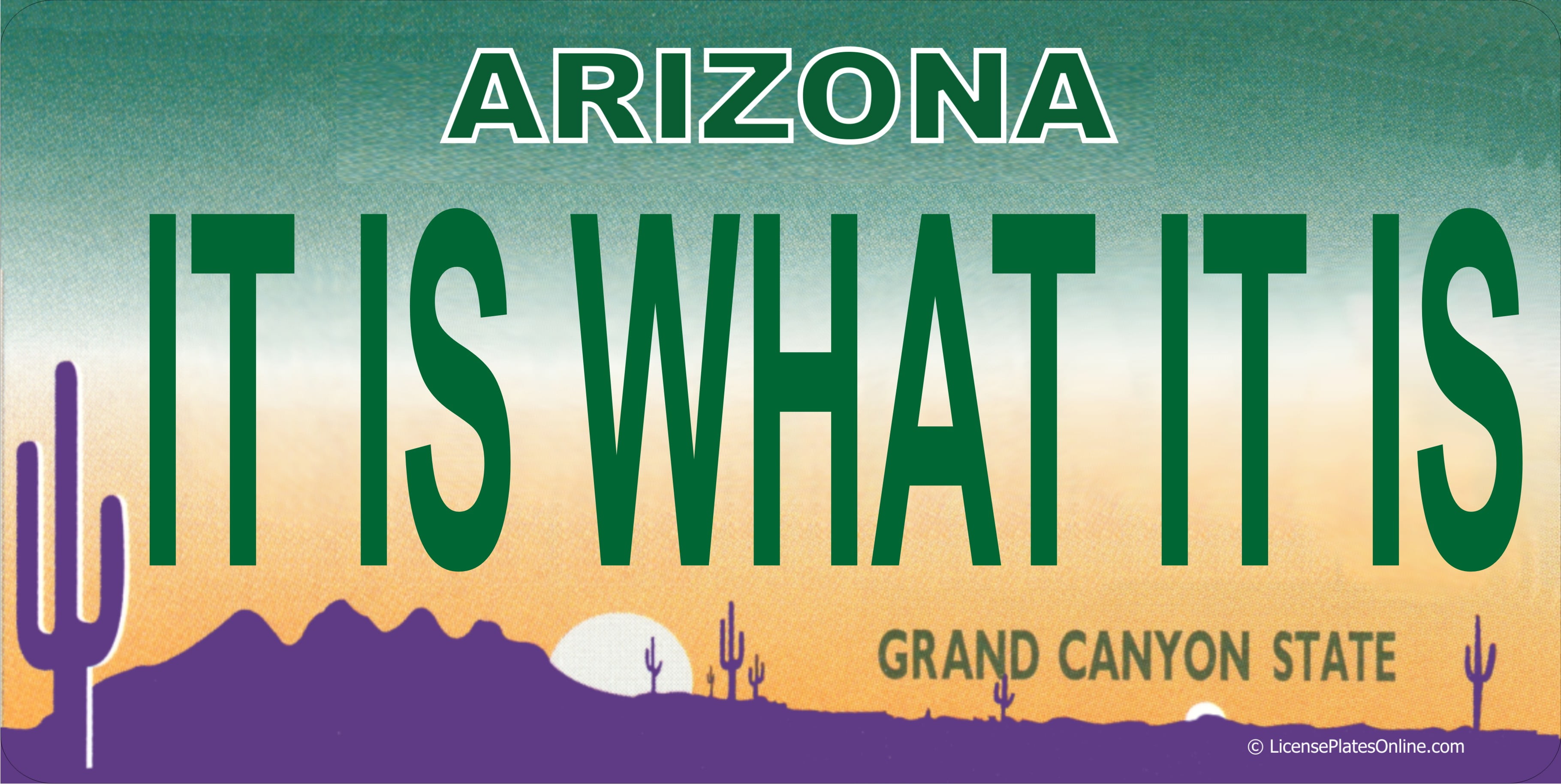 arizona it is what it is photo license plate free personalization on