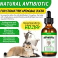 thumbnail image 4 of Natural Antibiotics for Cats- Pet Antibiotic - Cat Healing Aid and Skin Repair for Wounds, Sores, and Abrasions, Provides Itch Relief for Irritated Skin, 4 of 9