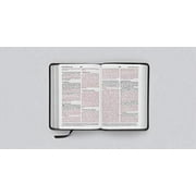 ESV Large Print Compact Bible, Book