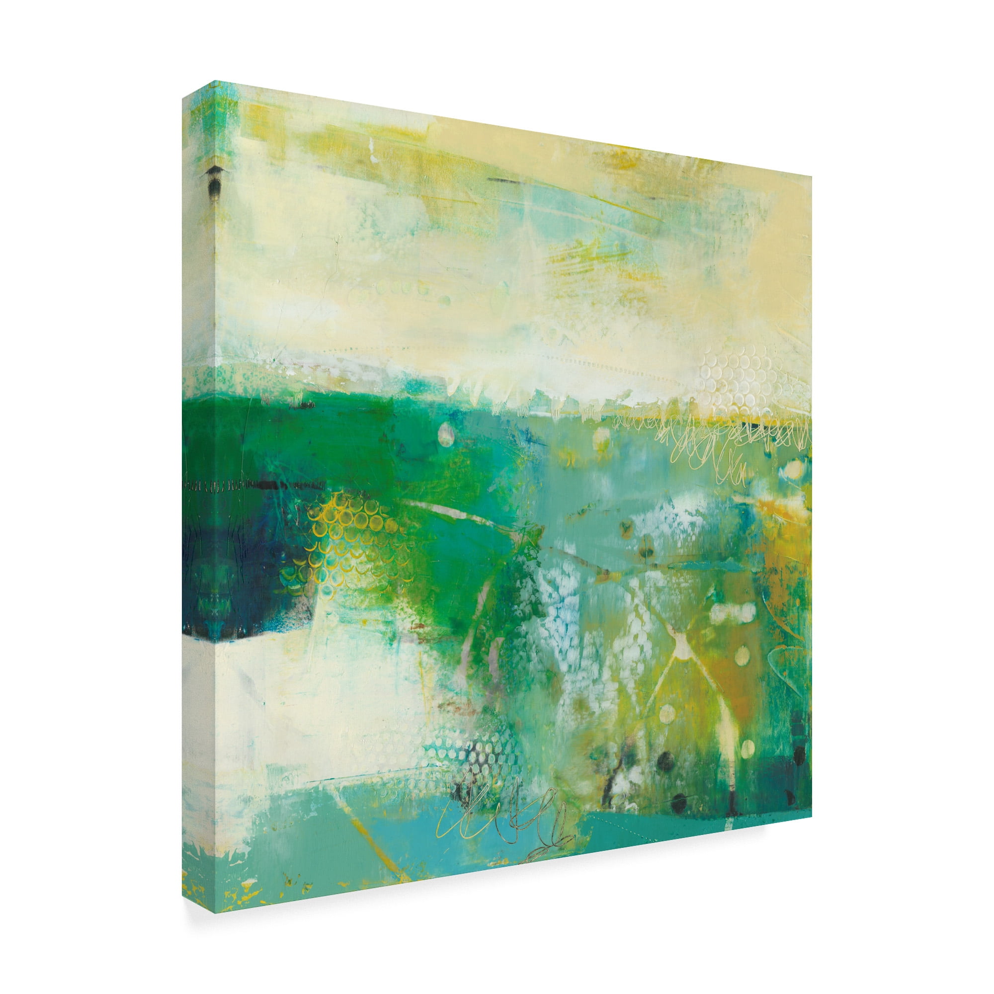 Trademark Fine Art 'Swith' Canvas Art by Sue Jachimiec
